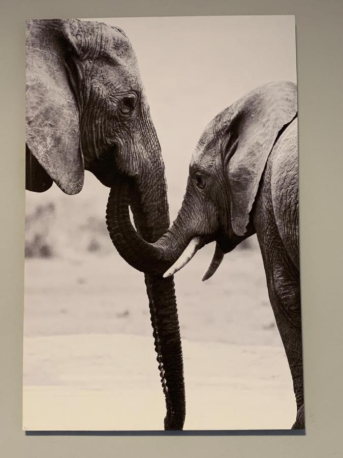 Elephant House, 2 Bedroom House, Next To Pilanesberg And Sun City Mogwase エクステリア 写真